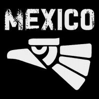 Mexico Vintage Mexican Flag Pride Hecho En Mexico Jersey Womens T-Shirt