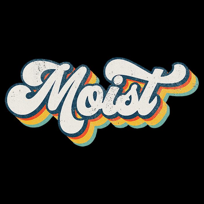 Moist Vintage Retro 80s Funny Sarcastic Moist Poster