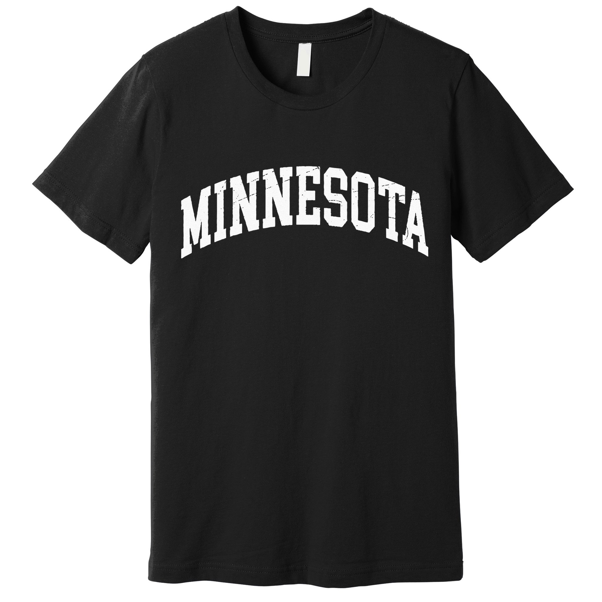 Minnesota Vintage Worn Design Classic Premium T-Shirt