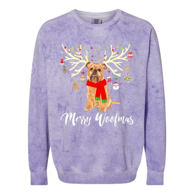 Merry Woofmas Brussels Griffon Reindeer Christmas Dog Colorblast Crewneck Sweatshirt