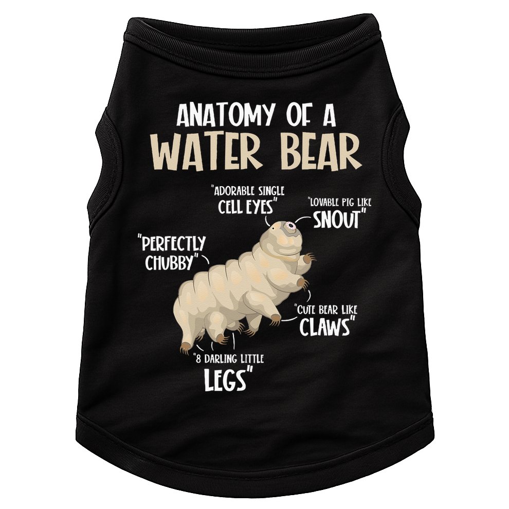 Microbiology Water Bear Science Facts Tardigrade Anatomy Doggie Tank