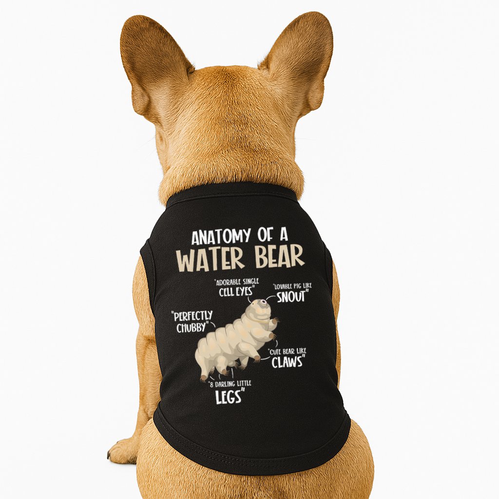 Microbiology Water Bear Science Facts Tardigrade Anatomy Doggie Tank