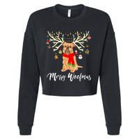 Merry Woofmas Brussels Griffon Reindeer Christmas Dog Cropped Pullover Crew