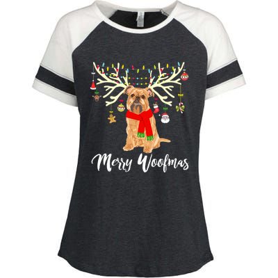 Merry Woofmas Brussels Griffon Reindeer Christmas Dog Enza Ladies Jersey Colorblock Tee