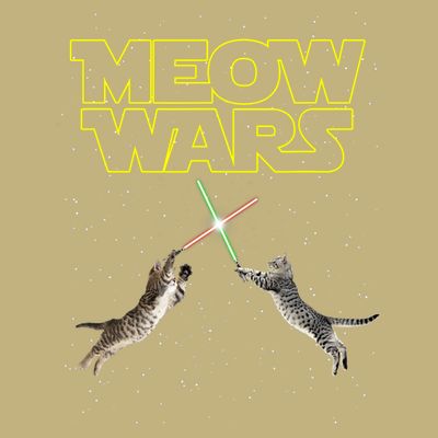 Meow Wars, Cat Wars, Funny Cat, Cat Lover T-Shirt