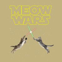 Meow Wars, Cat Wars, Funny Cat, Cat Lover Sustainable Beanie