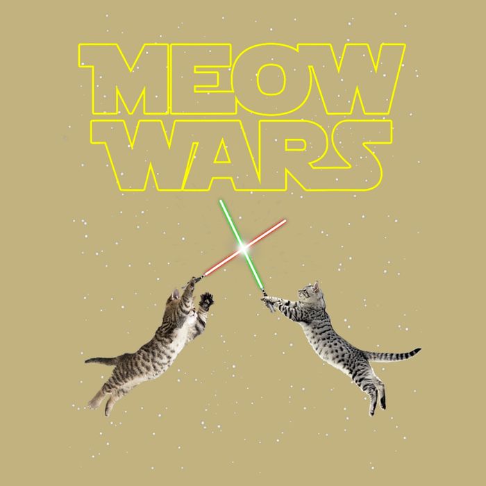 Meow Wars, Cat Wars, Funny Cat, Cat Lover Sustainable Beanie