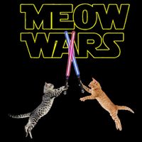 Meow Wars Cat Funny Gifts For Cats Lovers s Sweatshirt