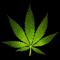 Majestic Weed Cannabis Plant Leaf Silhouette City Backpack
