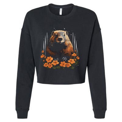 Marmot Wildlife Colorful Marmot Lover Wildlife Animal Gift Cropped Pullover Crew