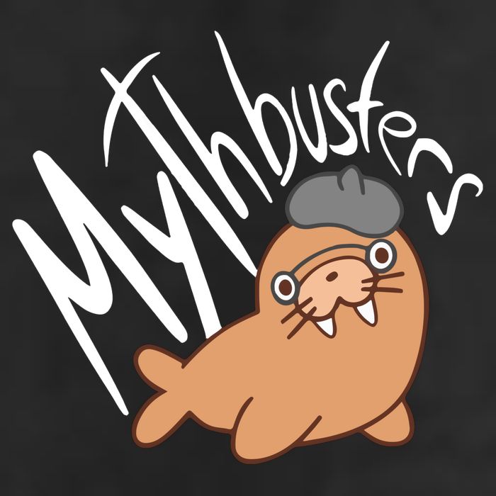 Mythbusters Walrus Funny Hat