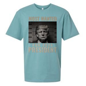 Most Wanted Funny Trump 2024 Mugshot For President Sueded Cloud Jersey T-Shirt