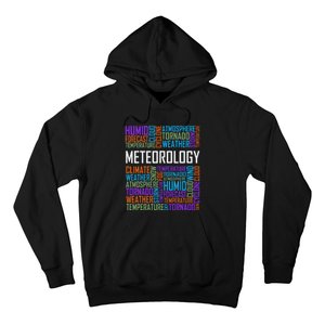 Meteorology Words Gifts Weather Forecast Meteorologist Gift Hoodie