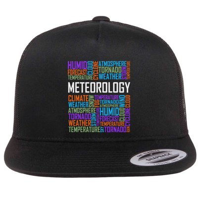 Meteorology Words Gifts Weather Forecast Meteorologist Gift Flatbill Hat