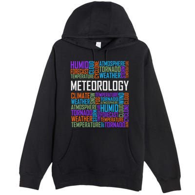 Meteorology Words Gifts Weather Forecast Meteorologist Gift Premium Pullover Hoodie