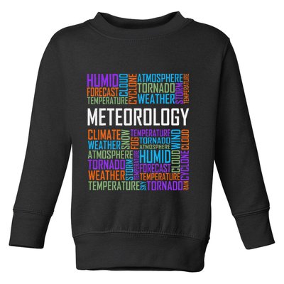 Meteorology Words Gifts Weather Forecast Meteorologist Gift Toddler Sweatshirt