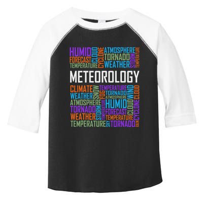 Meteorology Words Gifts Weather Forecast Meteorologist Gift Toddler Fine Jersey T-Shirt