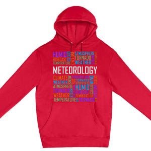 Meteorology Words Gifts Weather Forecast Meteorologist Gift Premium Pullover Hoodie