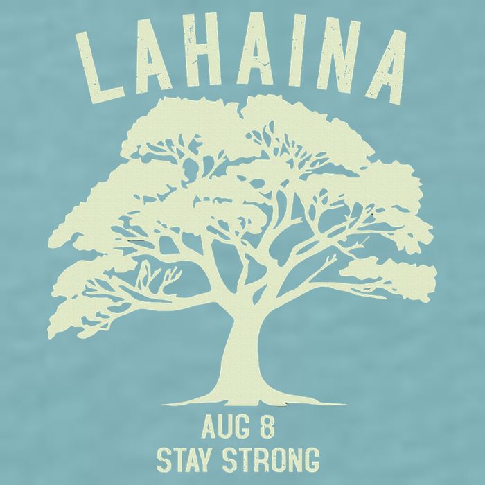 Maui Wildfire Lahaina Survivor Maui Hawaii Strong Sueded Cloud Jersey T-Shirt