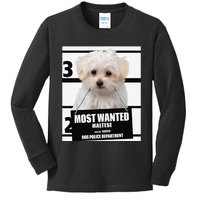 Most Wanted Maltese Terrier Dog Kids Long Sleeve Shirt