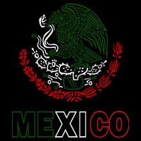 Mexico With Mexican Eagle From Flag Womens T-Shirt