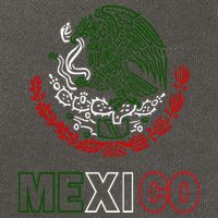 Mexico With Mexican Eagle From Flag Cotton Canvas Backpack