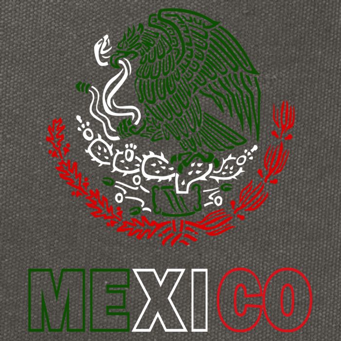 Mexico With Mexican Eagle From Flag Cotton Canvas Backpack