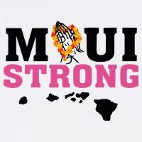 Maui Wildfire Relief All Profits Will Be Donated Cropped Pullover Crew