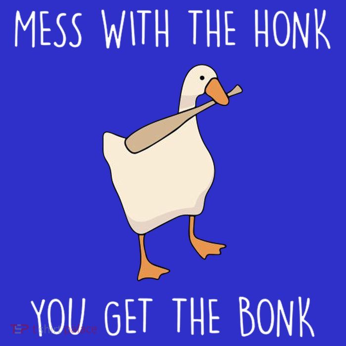 Mess With The Honk You Get The Bonk Tie-Dye T-Shirt