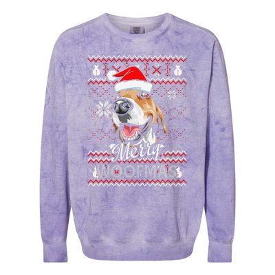 Merry Woofmas Tricolor Beagle Dog Santa Ugly Christmas Colorblast Crewneck Sweatshirt