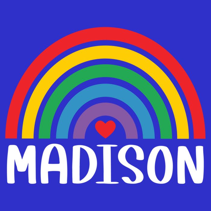 Madison Wisconsin Travel I Love Madison Usa Meaningful Gift 16 in Basic Backpack
