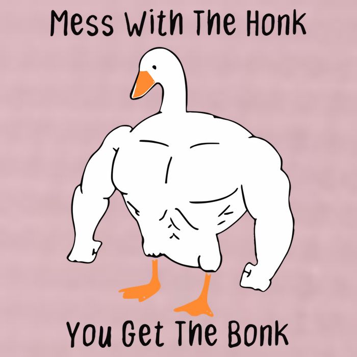 Mess With The Honk You Get The Bonk 25L Jumbo Tote