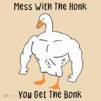 Mess With The Honk You Get The Bonk Zip Tote Bag