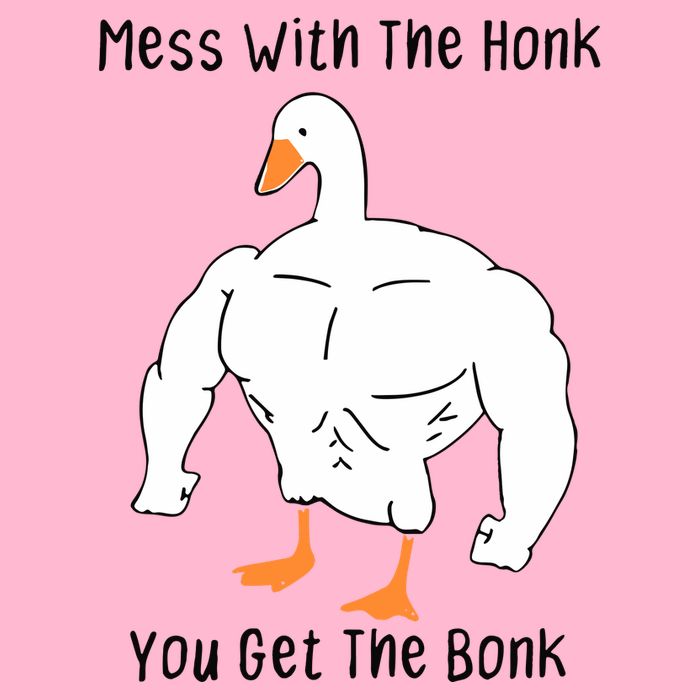 Mess With The Honk You Get The Bonk Toddler T-Shirt