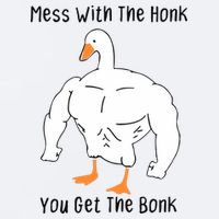Mess With The Honk You Get The Bonk Sueded Cloud Jersey T-Shirt