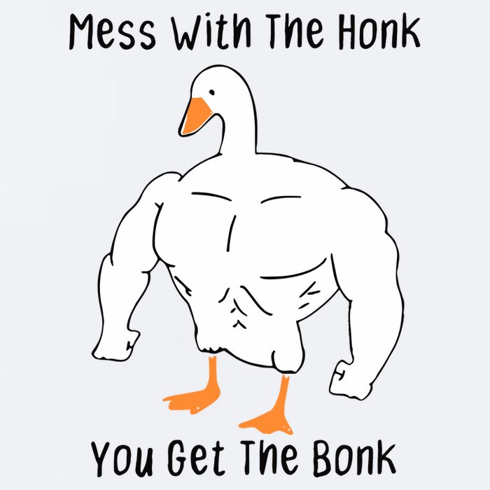 Mess With The Honk You Get The Bonk Sueded Cloud Jersey T-Shirt