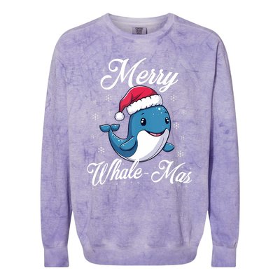 Merry Whalemas Whale With Santa Hat Orcas Christmas Puns Tank Top Colorblast Crewneck Sweatshirt