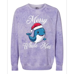 Merry Whalemas Whale With Santa Hat Orcas Christmas Puns Colorblast Crewneck Sweatshirt