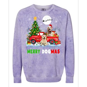 Merry Xmas Dog Santa Elf Labrador Retrievers On Pickup Truck Gift Colorblast Crewneck Sweatshirt