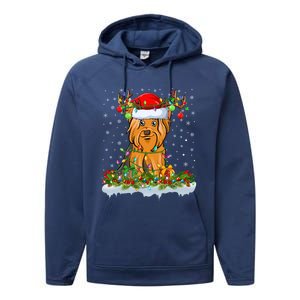 Matching Xmas Lighting Santa Yorkshire Terrier Dog Christmas Gift Performance Fleece Hoodie