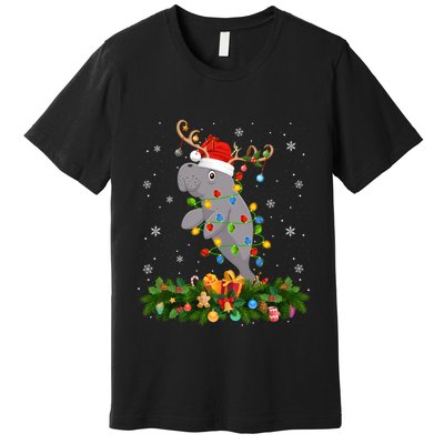 Manatee Xmas Lighting Reindeer Santa Hat Manatee Christmas Long Sleeve Premium T-Shirt