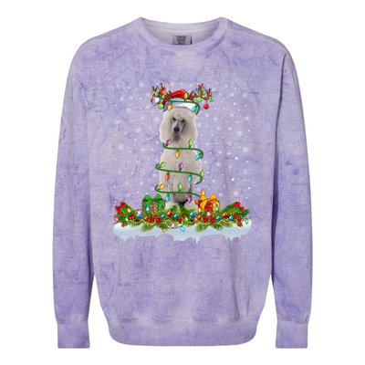 Matching Xmas Lighting Santa Standard Poodle Dog Christmas Cool Gift Colorblast Crewneck Sweatshirt