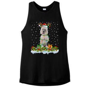 Matching Xmas Lighting Santa Standard Poodle Dog Christmas Cool Gift Ladies PosiCharge Tri-Blend Wicking Tank