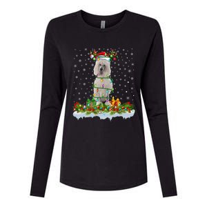 Matching Xmas Lighting Santa Standard Poodle Dog Christmas Cool Gift Womens Cotton Relaxed Long Sleeve T-Shirt