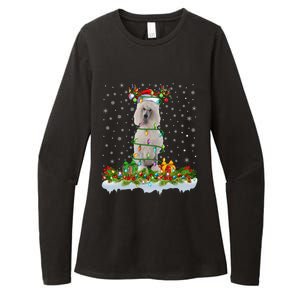 Matching Xmas Lighting Santa Standard Poodle Dog Christmas Cool Gift Womens CVC Long Sleeve Shirt