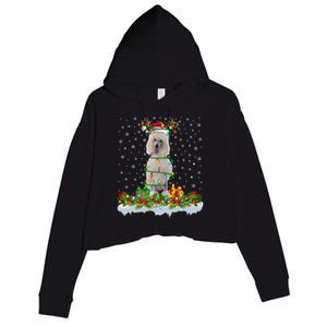 Matching Xmas Lighting Santa Standard Poodle Dog Christmas Cool Gift Crop Fleece Hoodie