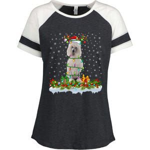 Matching Xmas Lighting Santa Standard Poodle Dog Christmas Cool Gift Enza Ladies Jersey Colorblock Tee