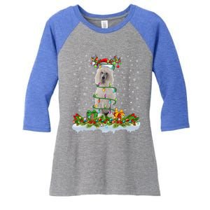 Matching Xmas Lighting Santa Standard Poodle Dog Christmas Cool Gift Women's Tri-Blend 3/4-Sleeve Raglan Shirt