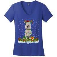 Matching Xmas Lighting Santa Standard Poodle Dog Christmas Cool Gift Women's V-Neck T-Shirt