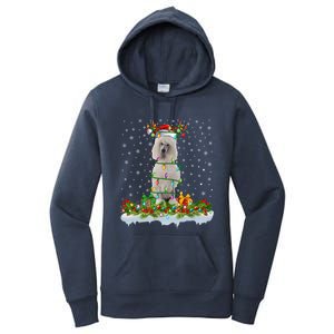 Matching Xmas Lighting Santa Standard Poodle Dog Christmas Cool Gift Women's Pullover Hoodie